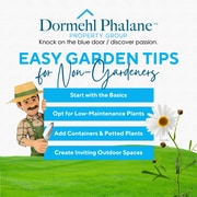 Easy Garden Tips for Non-Gardeners! Boost Home Appeal and Value!
