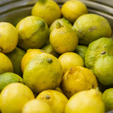 Fresh Produce - Tahini Deli - Xplorioâ„¢ Kleinmond