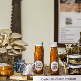 Mushroom Products - Tahini Deli - Xplorioâ„¢ Kleinmond