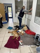 Monthly Sterilization Day