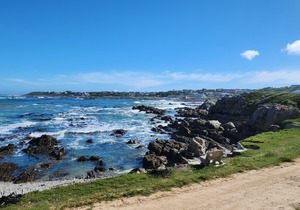 R5,695,000 | 991mÂ² Vacant Land For Sale in Kleinbaai