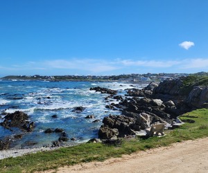 R5,695,000 | 991mÂ² Vacant Land For Sale in Kleinbaai