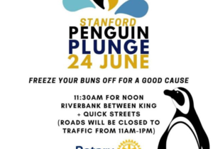 Postponed: Stanford Penguin Plunge
