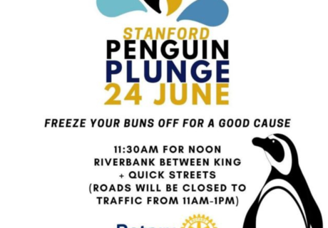 Postponed: Stanford Penguin Plunge