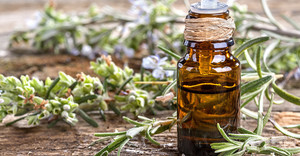 22 June 2023: Essential Oils for Beginners