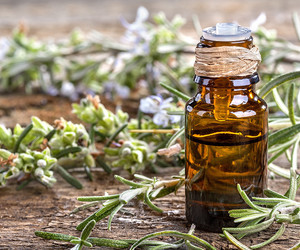 22 June 2023: Essential Oils for Beginners
