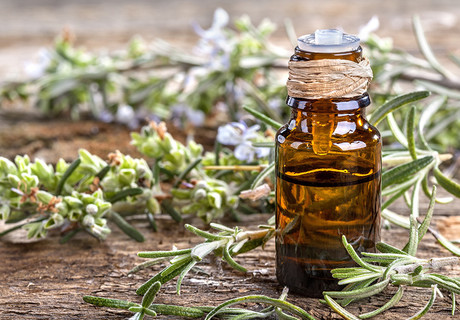 22 June 2023: Essential Oils for Beginners