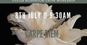 8 July 2023: Oyster Mushroom Beginner Cultivation Course