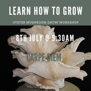 8 July 2023: Oyster Mushroom Beginner Cultivation Course