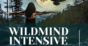 28 July - 1 August 2023: Wild Mind Intensive at The Wild Pod