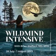 28 July - 1 August 2023: Wild Mind Intensive at The Wild Pod