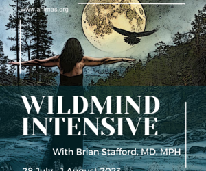 28 July - 1 August 2023: Wild Mind Intensive at The Wild Pod