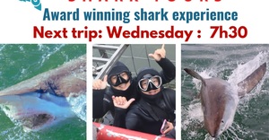 Next Marine Dynamics Shark Cage Diving Trip: 28 JuneÂ 2023