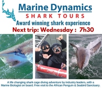 Next Marine Dynamics Shark Cage Diving Trip: 28 JuneÂ 2023