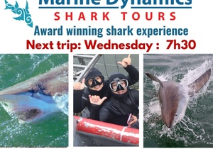 Next Marine Dynamics Shark Cage Diving Trip: 28 JuneÂ 2023