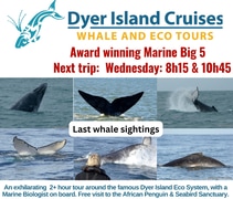 Next Dyer Island Marine Big 5 Tour: 28 June 2023