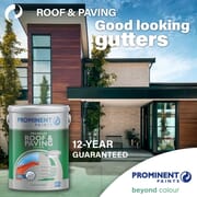 Prominent Roof and Paving Paint