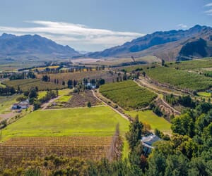 308.4-Hectare Fruit Farm for Sale in Villiersdorp: R16,000,000