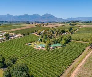 4.59-Hectare Fruit Farm for Sale in Villiersdorp: R10,900,000