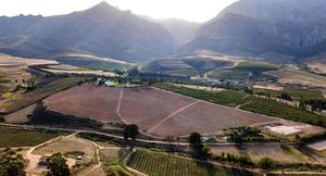 11-Hectare Fruit Farm for Sale in Villiersdorp:Â R9,450,000