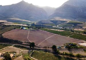11-Hectare Fruit Farm for Sale in Villiersdorp:Â R9,450,000