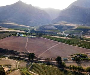 11-Hectare Fruit Farm for Sale in Villiersdorp:Â R9,450,000