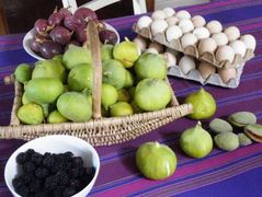 8.7-Hectare Mixed Use Farm for Sale in Villiersdorp: R8,500,000