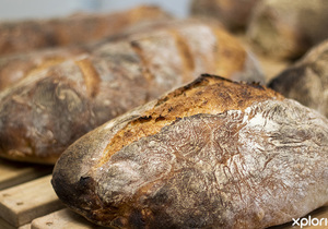 Free Daily Bread Delivery!