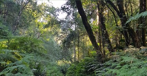 Everything You're Searching for is Already Within You