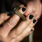 Educational Sessions - Khula Learning Centre - Xplorioâ„¢ Bredasdorp