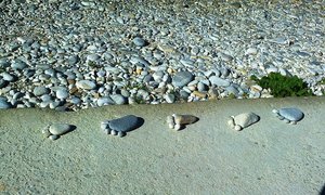 Ons Vroue : Instrumente in God se Hand