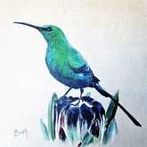 Art - Greyton Art Walk 2023 - Xplorioâ„¢ Greyton / Genadendal