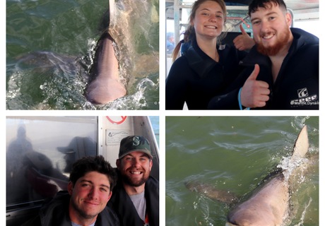Daily Blog: 04 July 2023 | Shark Cage Diving in South Africa