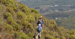 The Fynbos Trail: Premium Option