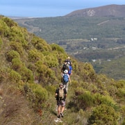 The Fynbos Trail: Premium Option