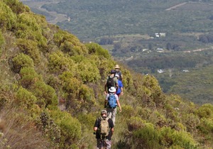 The Fynbos Trail: Premium Option