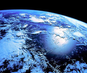 The funny thing about life on Earth.