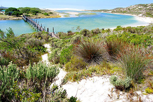 arniston-top-attractions-4-de-mond-nature-reserve
