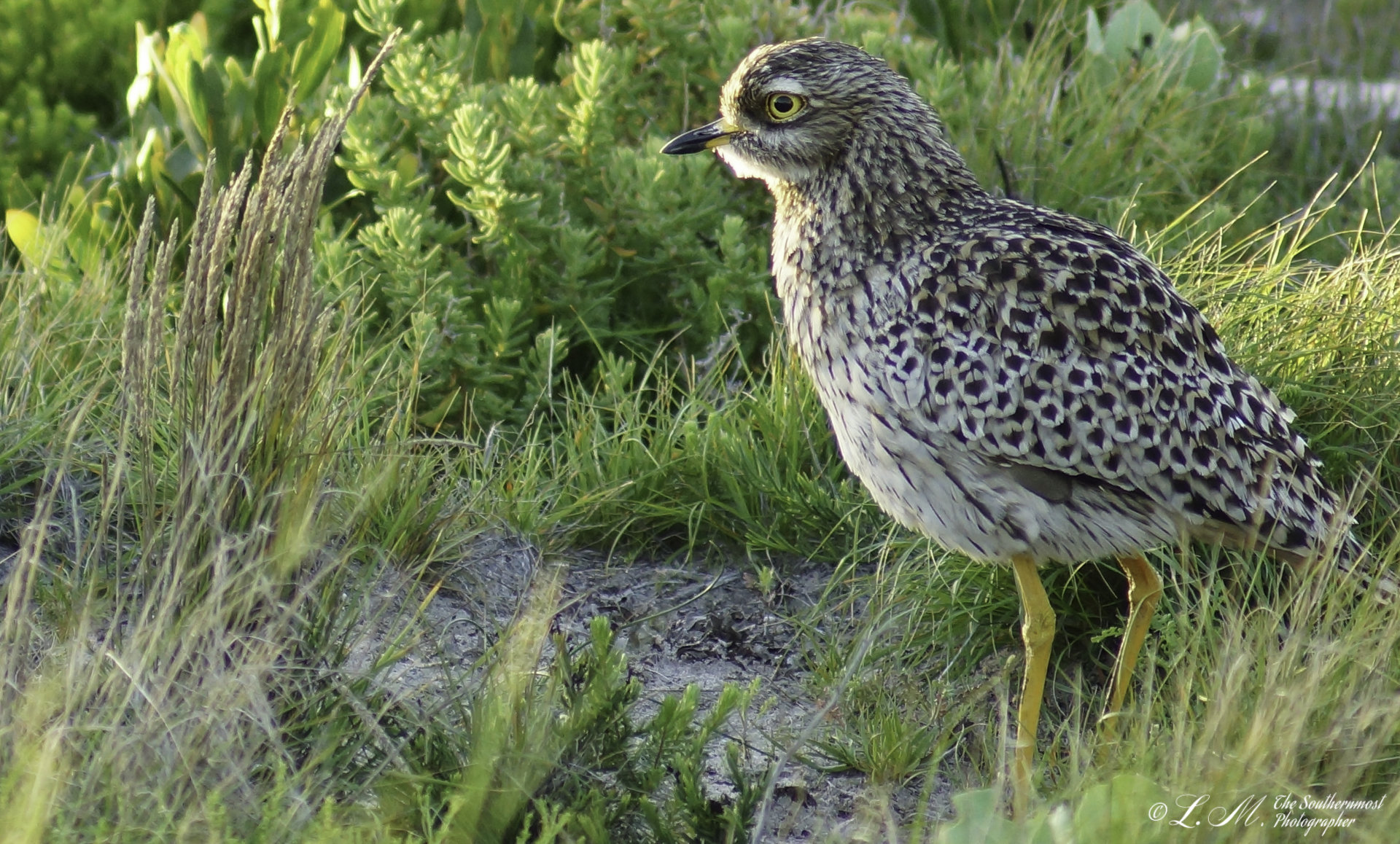 bredasdorp-top-attractions-image-5-nature-reserve