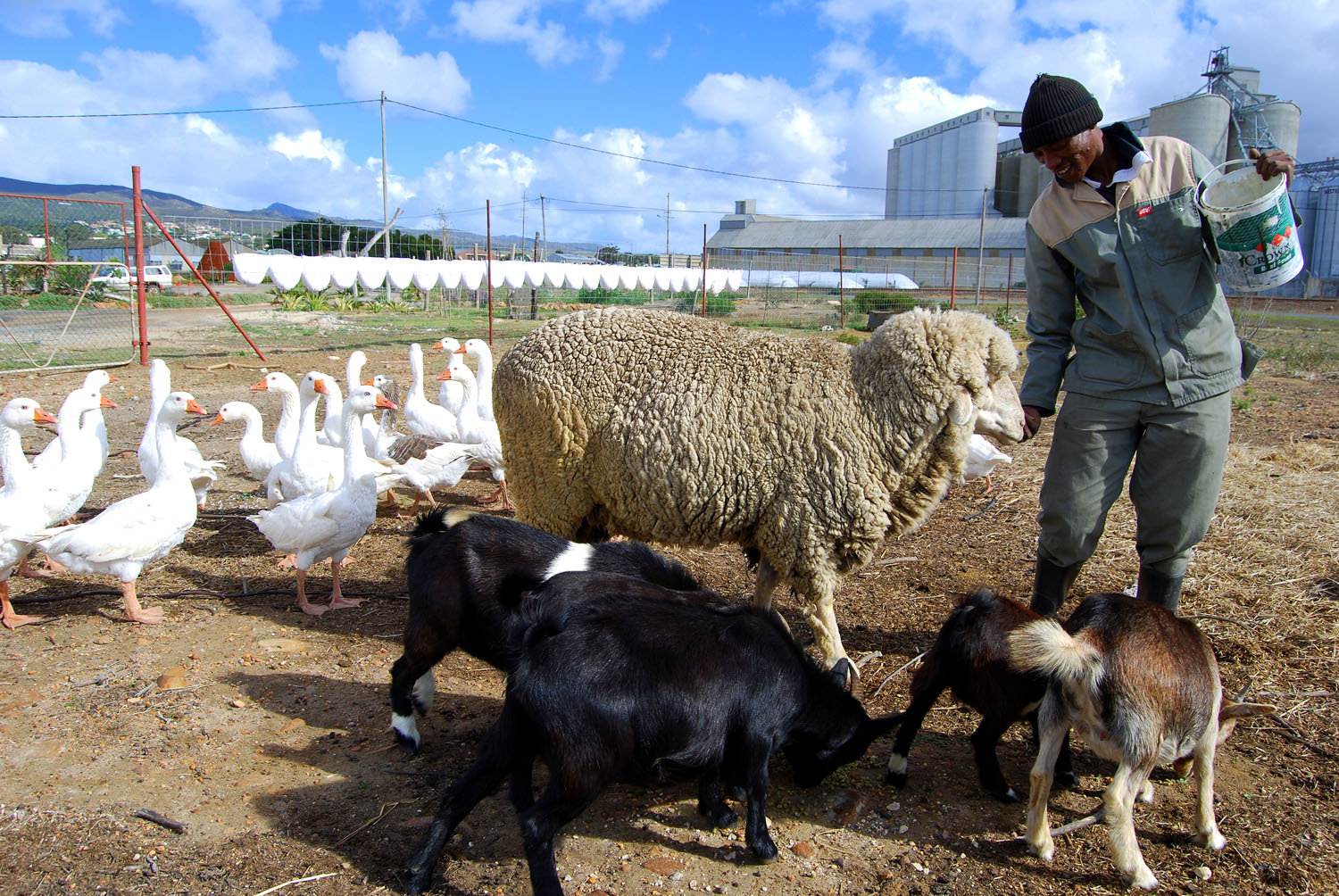 bredasdorp-top-attractions-image-6-farming-community