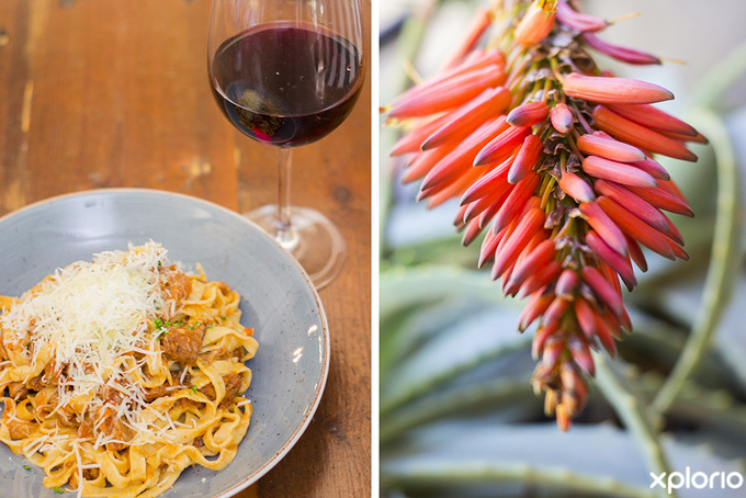 napier_restaurants_jd_bistro_and_wines_fine_dining_with_wine_1560855055_1577101361