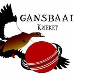 Gansbaai Krieket