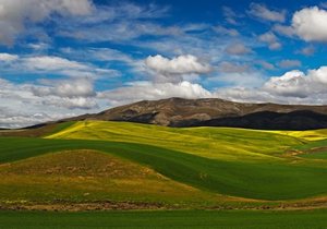 Week 4 of 2014 - Gansbaai News, Specials & Events