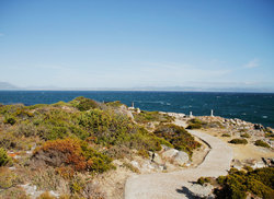 3. Walking the Cliff Path