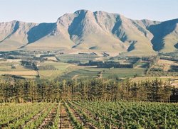 6. Hemel-en-Aarde Wine Route