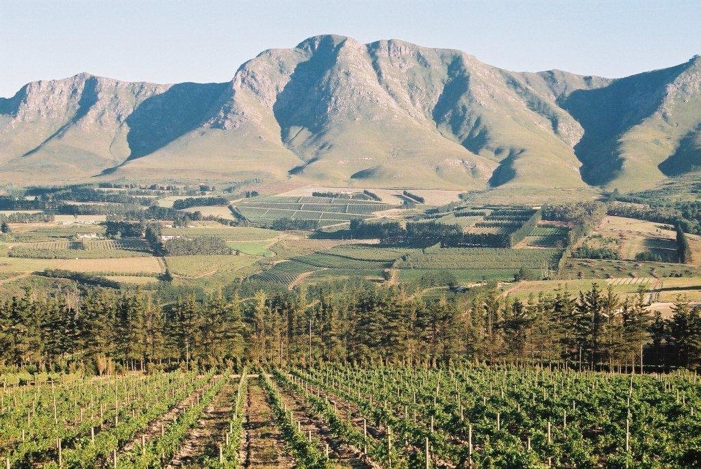 hermanus-top-attractions-image-6-hemel-en-aarde-valley