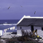Kassiesbaai Community