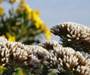 Who else wants to explore the Great Outdoors?