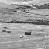 Fields in Monochrome