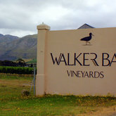 Walker Bay Vineyards